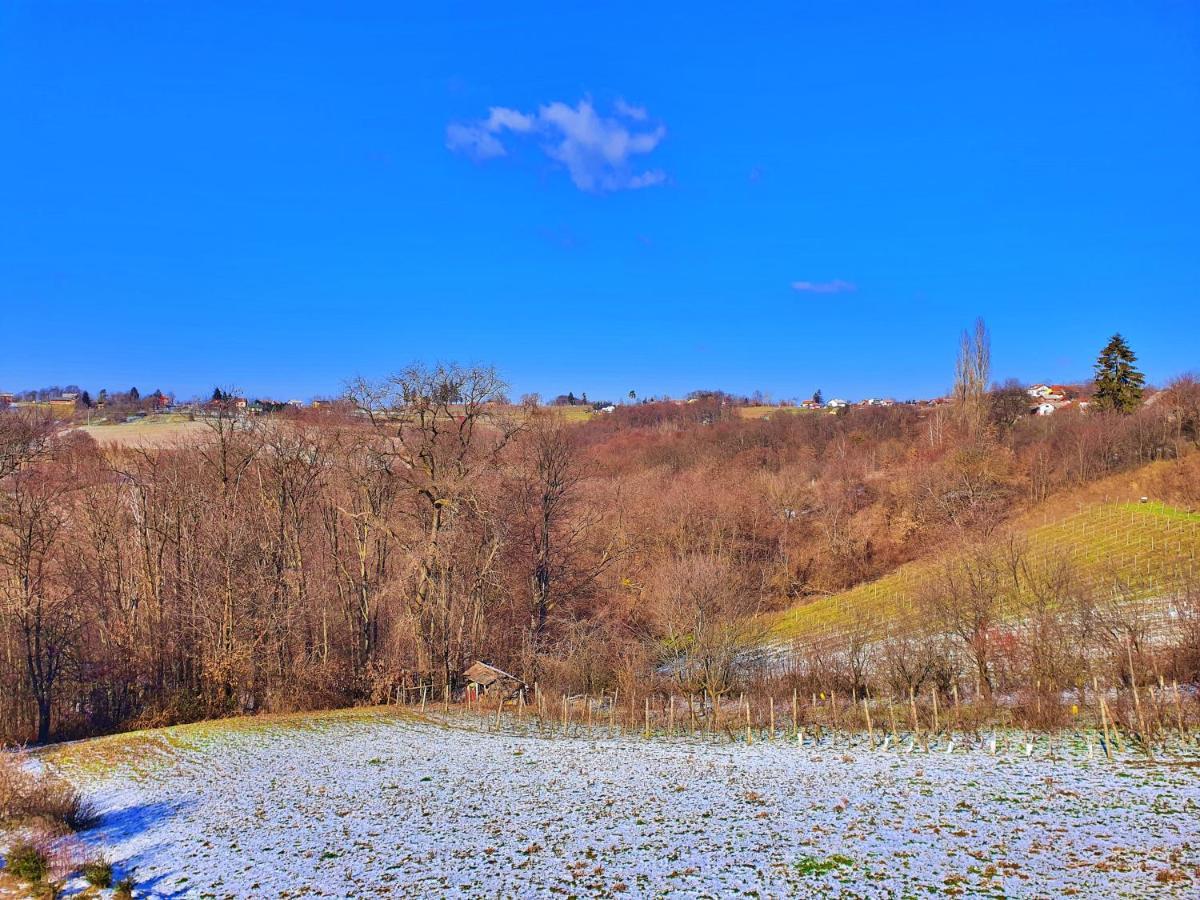 Holiday Home Bella Vita Gornji Mihaljevec 외부 사진